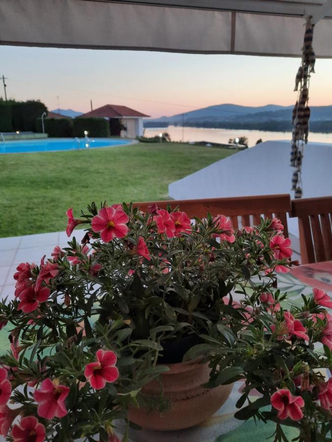 River-side Villa Vila Nova de Cerveira Esterno foto